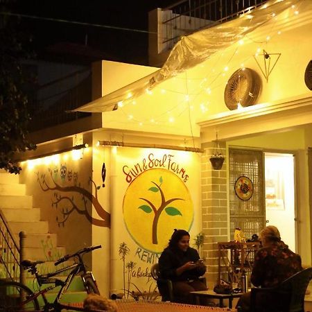 Sun N Soil Backpacker Hostel Lachhiwala Zewnętrze zdjęcie