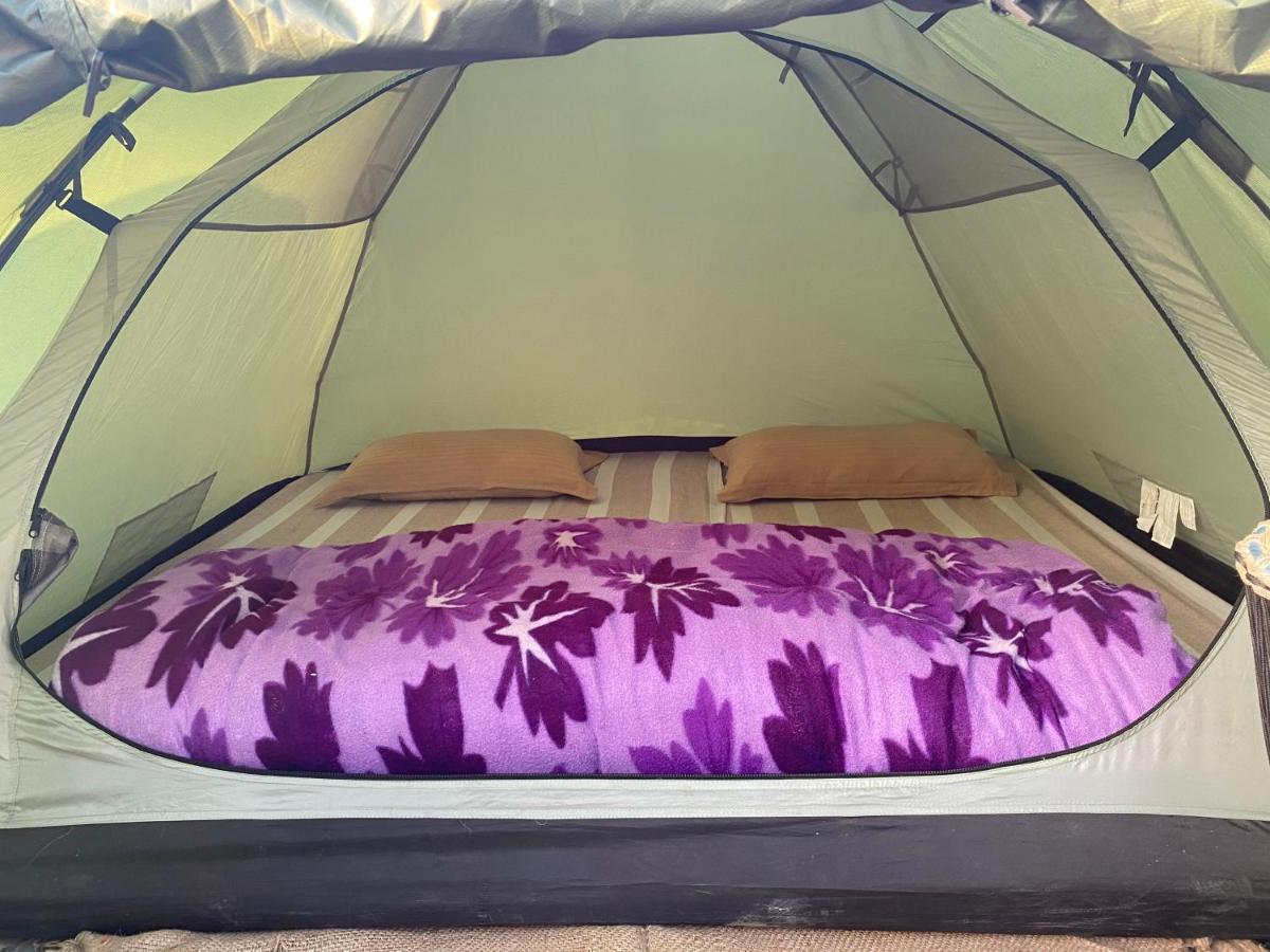 Sun N Soil Backpacker Hostel Lachhiwala Zewnętrze zdjęcie