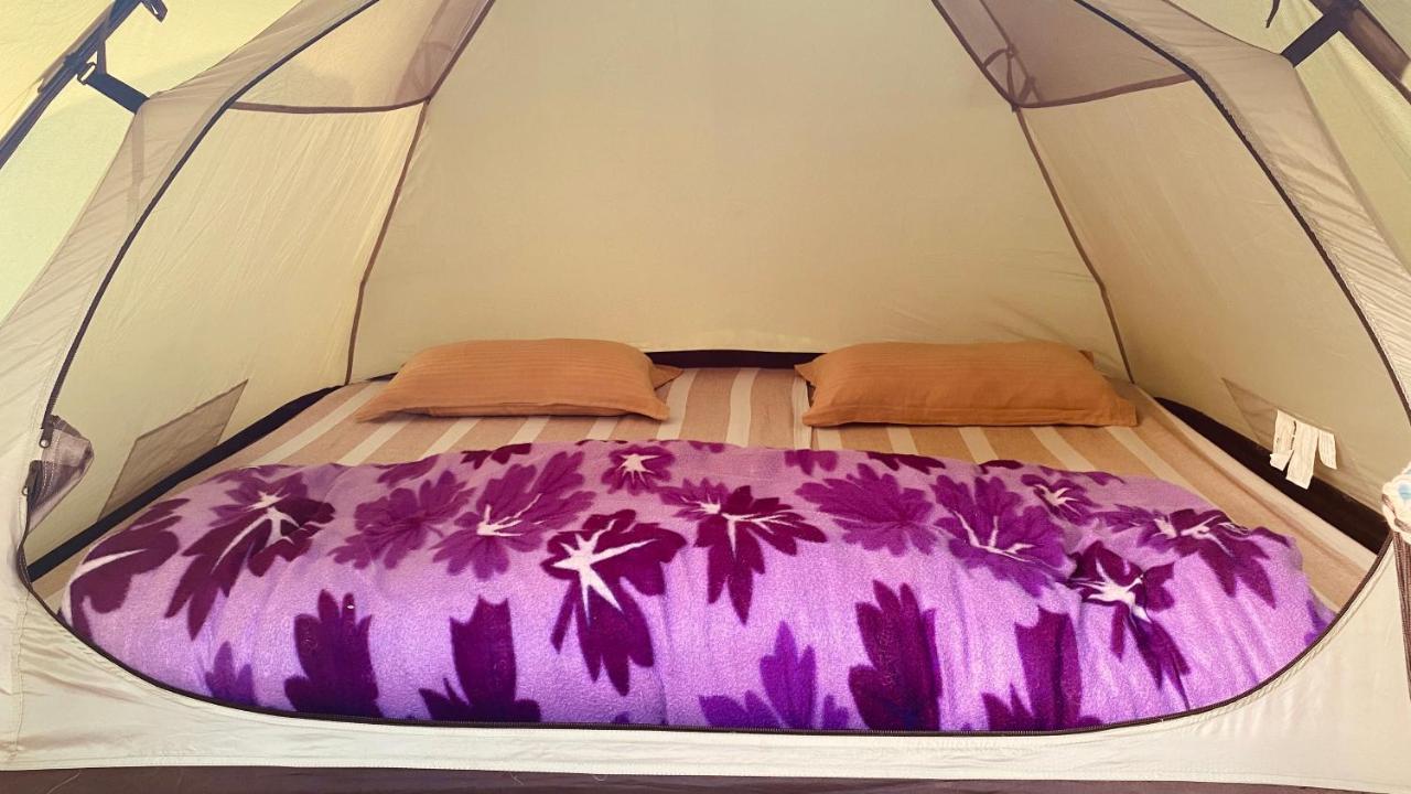 Sun N Soil Backpacker Hostel Lachhiwala Zewnętrze zdjęcie