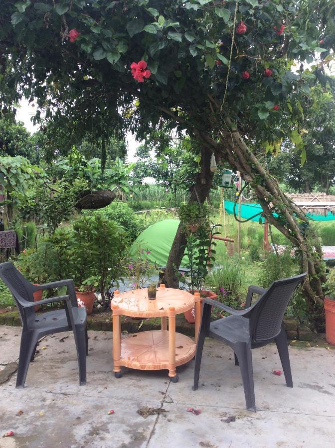 Sun N Soil Backpacker Hostel Lachhiwala Zewnętrze zdjęcie
