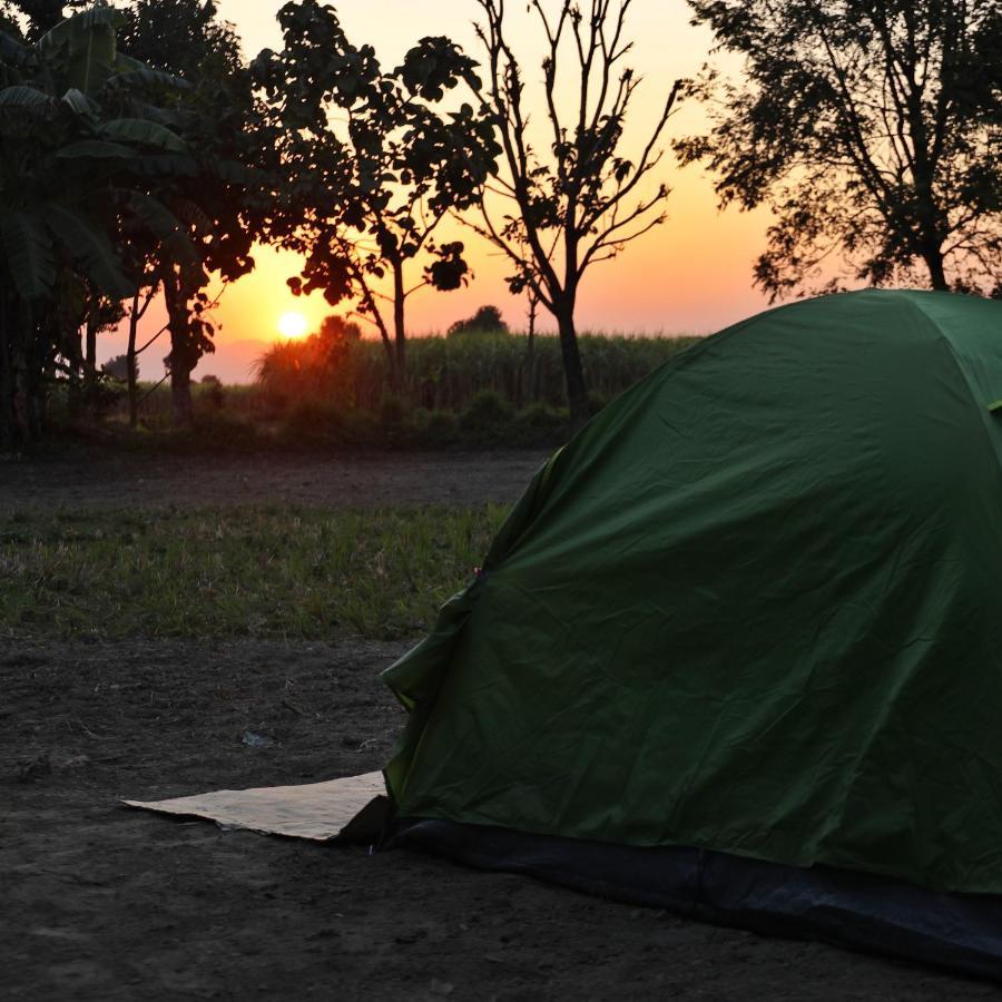 Sun N Soil Backpacker Hostel Lachhiwala Zewnętrze zdjęcie