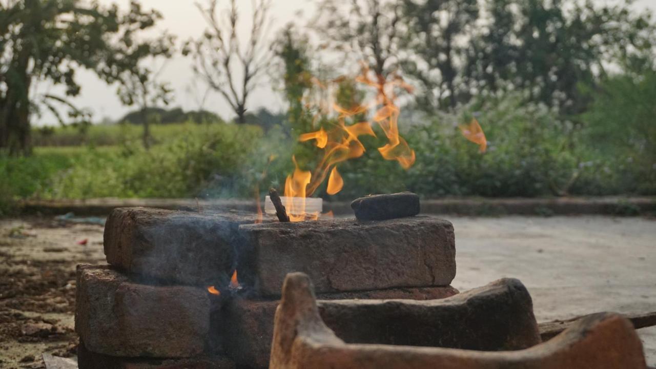 Sun N Soil Backpacker Hostel Lachhiwala Zewnętrze zdjęcie