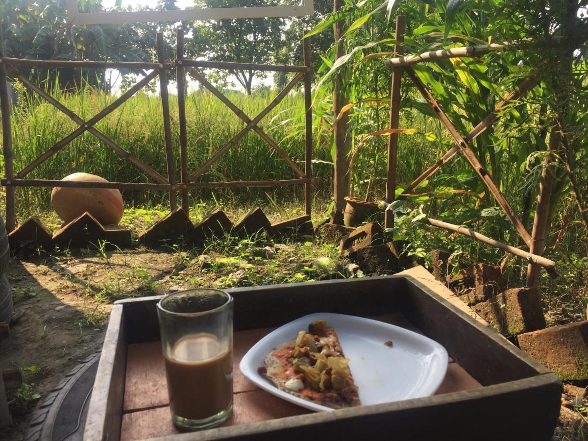 Sun N Soil Backpacker Hostel Lachhiwala Zewnętrze zdjęcie