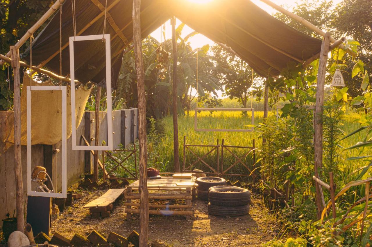 Sun N Soil Backpacker Hostel Lachhiwala Zewnętrze zdjęcie