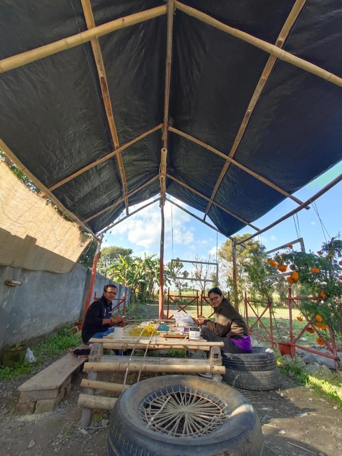 Sun N Soil Backpacker Hostel Lachhiwala Zewnętrze zdjęcie